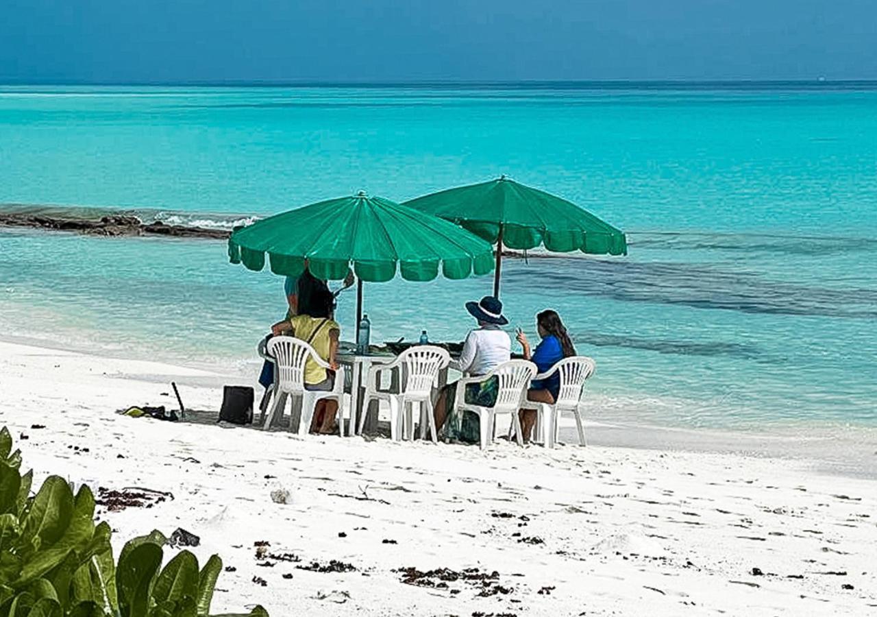 ホテル Tropical Tree Fehendhoo エクステリア 写真