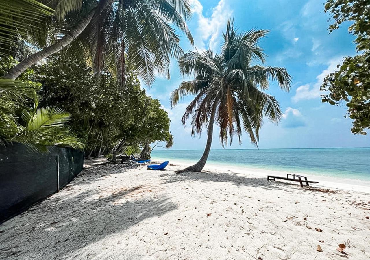 ホテル Tropical Tree Fehendhoo エクステリア 写真